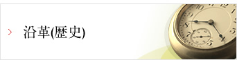 沿革(歴史)